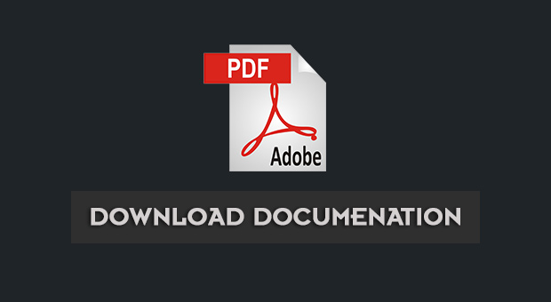 Download as PDF